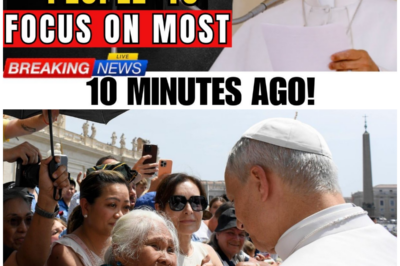 Pope Leo XIV Drops a Spiritual Bombshell: Why Old Age Is Your Most Powerful Season!