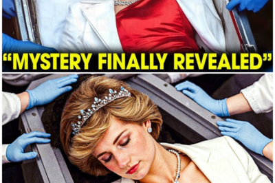 27 Years Buried Secrets: What Princess Diana’s Tomb Revealed That Shattered Official Stories