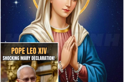 🎰 A Declaration That Shook the Faithful: Pope Leo XIV and the Question of Mary