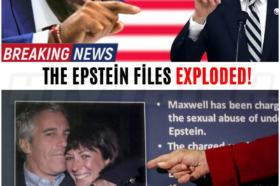 🎰 Raskin Alleges Systematic Epstein Cover-Up in Explosive Hearing, Presents Thousands of Pages of FBI Records
