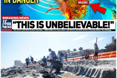 😱 Florida’s Beaches Closed After Shocking Underwater Discoveries: What Lies Beneath the Surface? 😱 – HTT