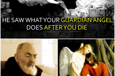 🎰 Padre Pio Saw What Your Guardian Angel Does After You Die