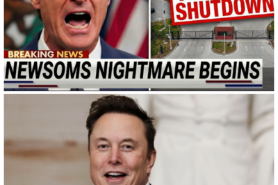 Governor Of California PANICS After Elon Musk Announces Massive Tesla Factory Shutdown In State!  Behind emergency calls with Silicon Valley executives, sealed shutdown notices, and frantic late-night strategy sessions, a devastating industrial shock is ripping through California. Production lines are going silent, thousands of high-paying jobs hang in the balance, and state leaders are scrambling as one of the world’s most powerful tech giants pulls the plug. What forced Musk to make this explosive move — and is this the beginning of a mass tech exodus from California? Click the article link in the comment to uncover the obscure details mainstream media refuses to reveal.