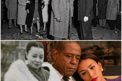 🎰 Cop Put His Hands on Bumpy Johnson’s Wife — 3 Hours Later He Was TRANSFERRED to Alaska