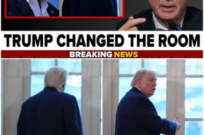 🎰 Trump Gets Up, Walks Away From Meeting To Stare Out Window At Ballroom