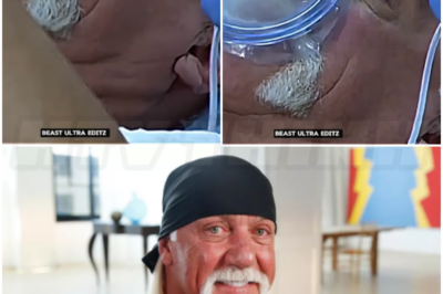 🎰 Hulk Hogan’s Final Hours: Paramedics Reveal Heartbreaking Details