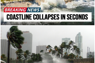 😱 1 MINUTE AGO: Florida Coastline Just LIFTED! The Reason Why TERRIFIES Scientists! 😱 – HTT