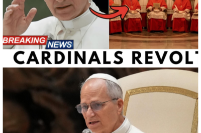 Cardinals secretly vote against Pope Leo XIV — but his next move changes the balance of power