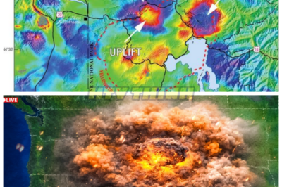 Record-Breaking Uplift Detected at Yellowstone — InSAR Data Unveils the Shocking Truth! 🌋📈 What’s Really Happening Underneath? A record-breaking uplift has been detected at Yellowstone, and scientists are using InSAR data to reveal the startling reason behind it. What’s happening beneath the surface of this famous supervolcano, and what does it mean for the future of the region? The data is sending shockwaves through the scientific community, and experts are scrambling to understand the potential consequences. Are we witnessing the early signs of an eruption? 👇