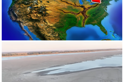 This Is Why Mississippi River Is Drying Up – The Truth Is TERRIFYING!