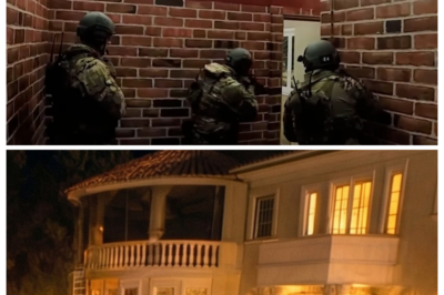 FBI & ICE STORM Federal Judge’s Estate — H1dden Passage F0und & 127 M1ss1ng L1nked