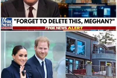 Leaked Yacht Footage Exposes Meghan Markle’s Secret Life Before Prince Harry