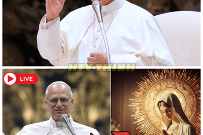 Pope Leo XIV Shocks the Vatican — The Virgin Mary Was Misunderstood for Centuries, and the Church Is in Crisis 🌹 In a stunning revelation, Pope Leo XIV declares that the Virgin Mary has been misunderstood for centuries, throwing the Vatican into complete chaos. This bold statement challenges centuries of doctrine, sparking debates and fears among clergy and believers alike. What does the Pope know that has turned the Church upside down? Is this the beginning of a new era in Catholicism, or a dangerous path of reform? The Vatican is trembling—find out why. 👇