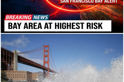 😱 Shocking Earthquake Swarm Rocks San Francisco: Is a Major Quake on the Horizon? 😱 – HTT