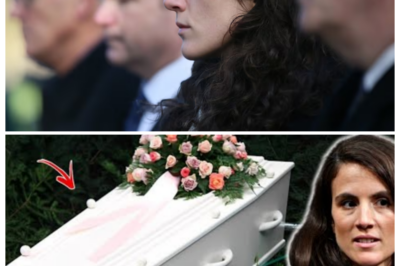 🧨 The Day Eisenhower Finally Told Montgomery “YOU’RE DONE—GET OUT”—And Insiders Claim the Confrontation Was Explosive, Shattering Alliances, Igniting Fury, and Leaving Generals and Soldiers Reeling as the Supreme Commander Allegedly Ended a Career With a Single, Thunderous Declaration — In a dramatic tabloid narrator’s tone, sources whisper that the moment was more than dismissal—it was humiliation, strategy, and shock rolled into one, turning military history into a tense drama of power, pride, and betrayal 👇