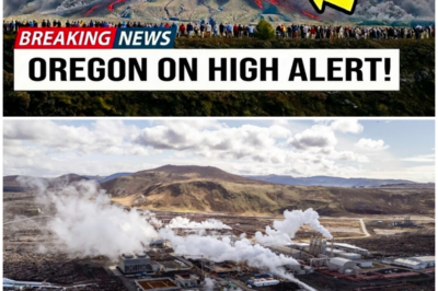 😱 Underwater Volcano Awakens: What Secrets Does the Axial Seamount Hold Beneath Its Turbulent Surface? 😱 – HTT