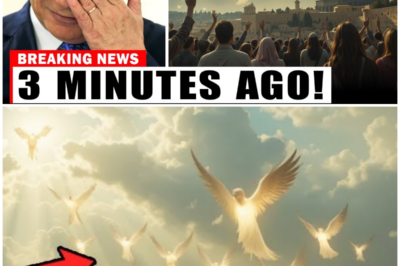 😱 Celestial Signs Over Jerusalem: The Shocking Appearance of Jesus and an Army of Angels! 😱 – HTT
