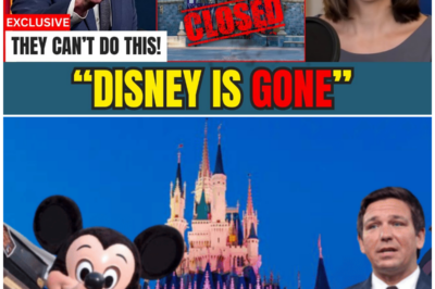 Governor PANICS After Disney Announces Total California Departure!