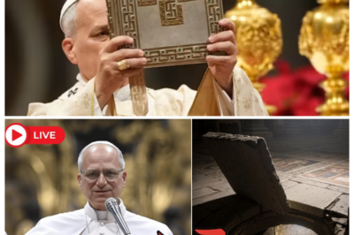 👁️ Pope Leo XIV Confirms Hidden Door Beneath St. Peter’s Basilica—Ancient Passage to an Unknown Chamber Sparks Frenzy as Guards Seal Corridors and Whispers of Buried Relics, Lost Bones, and Forbidden Archives Ripple Through Rome 🗝️ — What sounded like a casual remark allegedly detonated into a full-blown Vatican thriller, with workers spotted moving barricades and priests dodging questions, because the moment the pope acknowledged a secret door under the holiest floor on Earth, imaginations ran wild and suddenly every stone felt like it was hiding a centuries-old confession 👇