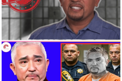 Cesar Millan’s Shocking Sentence: Tears Flow as He’s Sentenced to Life in Prison 😱😭 In a stunning turn of events, Cesar Millan, the beloved dog trainer, was sentenced to life in prison today, leaving fans and critics alike in shock. As the verdict was read, Millan couldn’t contain his emotions, breaking down in tears. What led to this drastic sentence for the man known for calming even the wildest of dogs? The shocking details of the trial and the heart-wrenching moments in the courtroom have left the world questioning how a man who once healed could now face such a devastating fate. 👇