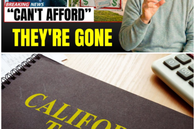 😱 California’s Middle-Class Exodus: Why Professionals Are Choosing Financial Freedom Over High Costs! 😱 – HTT