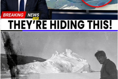 A 100-Year-Old Antarctic Photo Enhanced by AI Reveals Disturbing Details Experts Can’t Explain