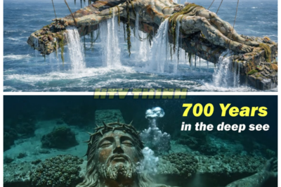 A Miraculous Discovery: 700-Year-Old Crucified Christ Statue Recovered from the Ocean Depths — The Truth Behind Its Mystery 🌊 The ocean has just released a divine secret: a 700-year-old crucified Christ statue has been uncovered, seemingly untouched by time. How did this sacred relic end up on the ocean floor, and what mysteries does it hold? The restoration of this centuries-old artifact is nothing short of miraculous, shaking the foundations of history and faith. This incredible find could reveal answers to questions no one has dared to ask. The world will never be the same. 👇