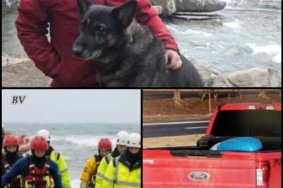 “Lost at Sea: The Last Days of a Terminally Ill Hiker and His Faithful Dog”