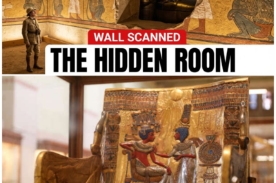 Tutankhamun’s Tomb: The Shocking Truth Hidden for a Century — What They Don’t Want You to Know About the Secret Chambers Behind the Painted Walls!
