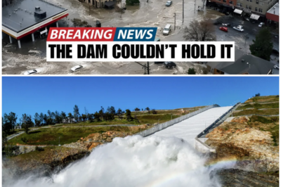 😱 California’s Shasta Lake Surges 35 Feet Overnight: A Catastrophic Water Crisis Unfolds! 😱 – HTT