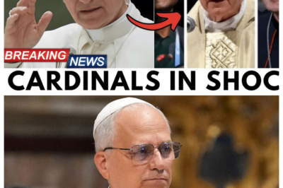 A Shocking Purge: Pope Leo XIV Just Removed 12 Bishops From Power – The Vatican Is Shaken