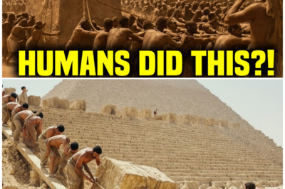 How Did Ancient Egyptians Build the Great Pyramid Without Modern Machines? The Genius That Defies Time