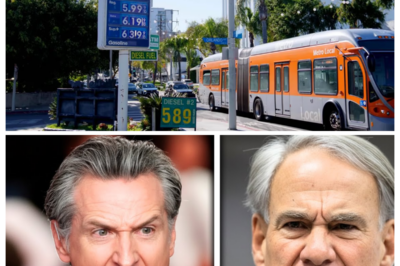 California Governor PANICS After Texas Announces New Pipeline For Gas! ll