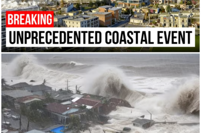 😱 60-Foot Waves Devastate U.S. Coastline: Are We Prepared for This Unprecedented Assault? 😱 – HTT