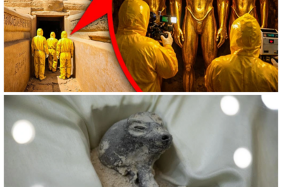 Shocking Discovery: A SECRET CHAMBER Opened Inside the SECOND Sphinx!