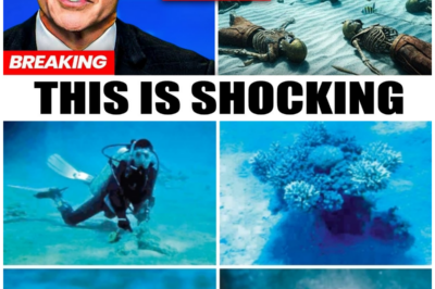 Divers Find Pharaoh’s Army Beneath the Red Sea – But What They Discovered Will Shake You to Your Core!