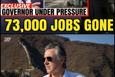 “California on the Edge: Governor Faces Backlash as Manufacturing Meltdown Shakes the Golden State”