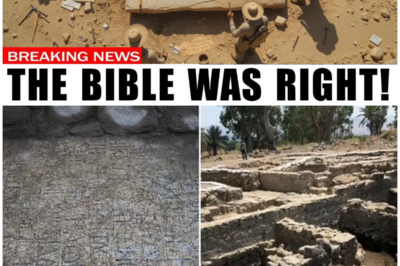 😱 The Shocking Discovery in Galilee: Jesus’ Secret Words to Peter Uncovered After 1,500 Years! 😱 – HTT