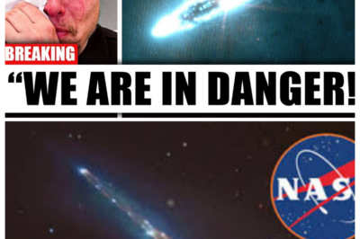 Elon Musk Just Issued a Warning About 3I Atlas — And NASA Is Silent  In a recent statement that has rocked the aerospace and tech communities, ELON MUSK issued a warning regarding the mysterious 3I ATLAS PROJECT, a development shrouded in secrecy. Musk hinted that the program could have significant implications for space security and exploration, yet NASA has remained unusually silent, refusing to comment on the potential risks. Experts are now speculating: Is this a genuine threat, a cautionary advisory, or a glimpse into undisclosed technological developments? As discussions unfold across social media and industry circles, one thing is clear—the warning has already ignited concern, curiosity, and controversy. Click the article link in the comments to uncover what Musk revealed about 3I Atlas.