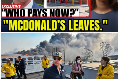 California’s Fast Food Meltdown: How McDonald’s Is Abandoning the Golden State Amidst Soaring Wages and Job Losses