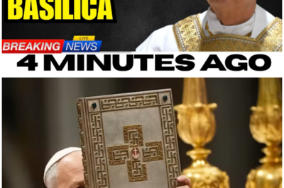 Pope Leo XIV Breaks Silence After Mysterious Artifact Is Found Beneath St. Peter’s Basilica