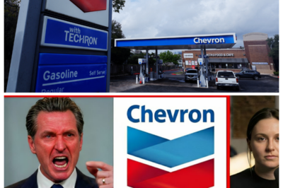Governor Of California EXPLODES After Chevron Announces MASSIVE Departure!