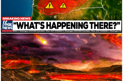 Washington’s Hidden Magma Highway Exposed: Scientists Sound RED Alert as Volcanoes Awaken in Sinister Synchrony