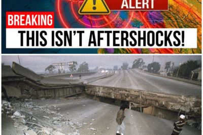 😱 Seismic Warning: What the San Francisco Bay Area’s 300 Earthquakes Mean for Residents! 😱 – HTT