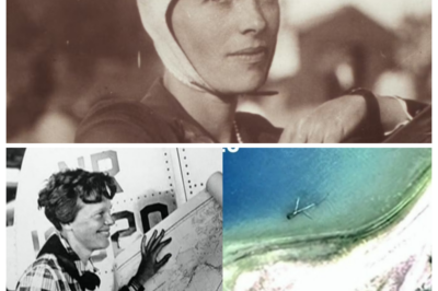 Was Amelia Earhart Marooned on an Island? New Expedition Launched to Find Her Plane