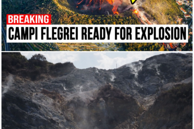 Breaking: Campi Flegrei Caldera Shows Impossible Collapse Signs