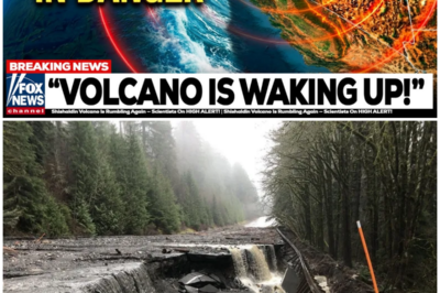 😱 Mount Rainier and St. Helens: Are We Facing an Imminent Eruption Crisis in the Pacific Northwest? 😱 – HTT