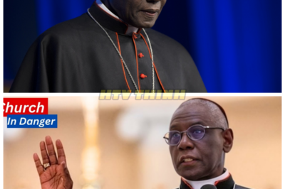 The Church’s Darkest Hour Is Here — Cardinal Sarah’s Warning: Nothing Can Stop What’s Coming 😱 Cardinal Sarah has issued a chilling warning: the Church is entering its darkest hour, and there’s nothing that can stop what’s unfolding. As crises mount and the Church faces unprecedented challenges, Sarah’s words are a stark reminder of the turmoil ahead. What does this mean for the future of the faith, and how will the Church survive this critical moment? The truth behind his warning will leave you in shock. 👇