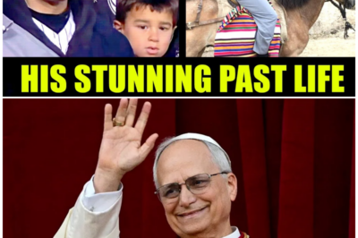 Pope Leo XIV’s Hidden Legacy: How a Scholar, Missionary, and Advocate Became the Unlikely Shepherd of a Global Church in Crisis!