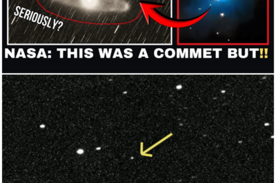 From Viral Sensation to Scientific Enigma: The Ongoing Story of ThreeI Atlas and Its Unexplained Data!